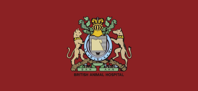 British animal hospital