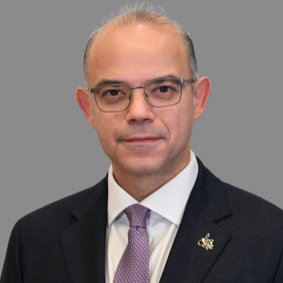 H.E. Mohamed Farid